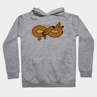 Infinite dog Hoodie